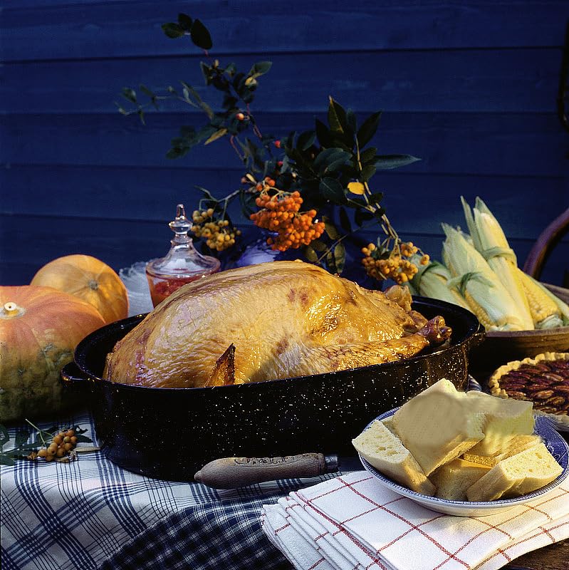 TOPZEA dishwasher-safe roaster pan — convenient cleanup after big meals.
