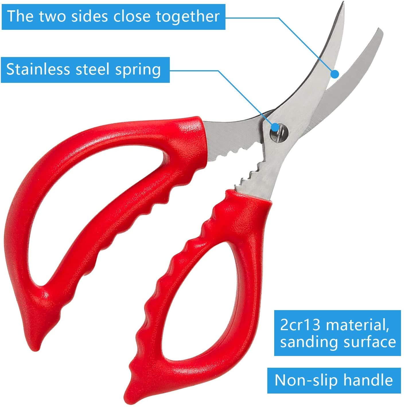 TORINALITAL stainless steel seafood forks help extract meat cleanly.