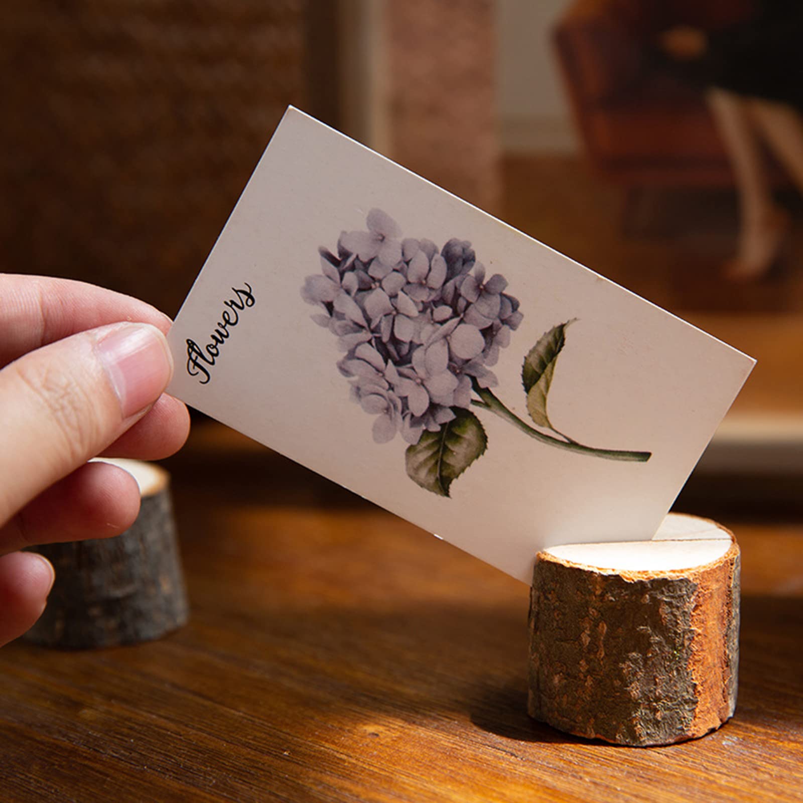 Tosnail photo display card holder keeps memories visible