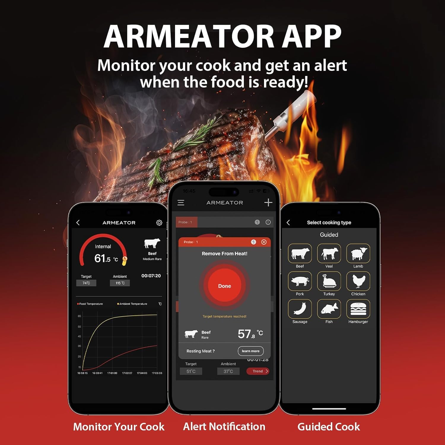 ToyCod A1 app-sync view shows real-time temps on your phone.