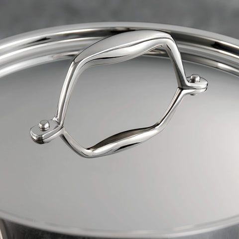 Tramontina Signature pan safely tolerates oven heat up to 500°F