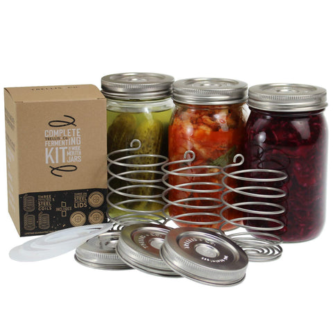 Trellis + Co. stainless steel fermentation lid with waterless airlock for wide-mouth jars.