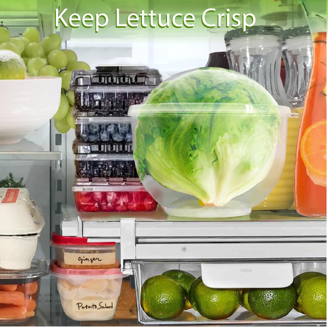 Trenton Gifts Lettuce and Vegetable Storage Keeper easy-clean feature for simple maintenance
