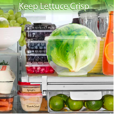Trenton Gifts Lettuce and Vegetable Storage Keeper easy-clean feature for simple maintenance