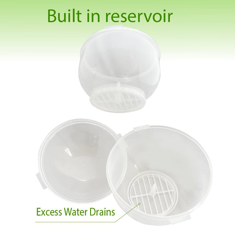 Trenton Gifts Lettuce and Vegetable Storage Keeper interior shows dry, ready-to-store produce
