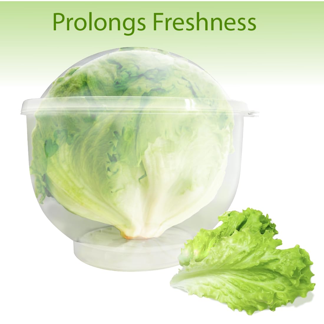Trenton Gifts Lettuce and Vegetable Storage Keeper lid highlights humidity control to preserve freshness