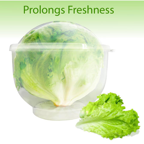 Trenton Gifts Lettuce and Vegetable Storage Keeper lid highlights humidity control to preserve freshness