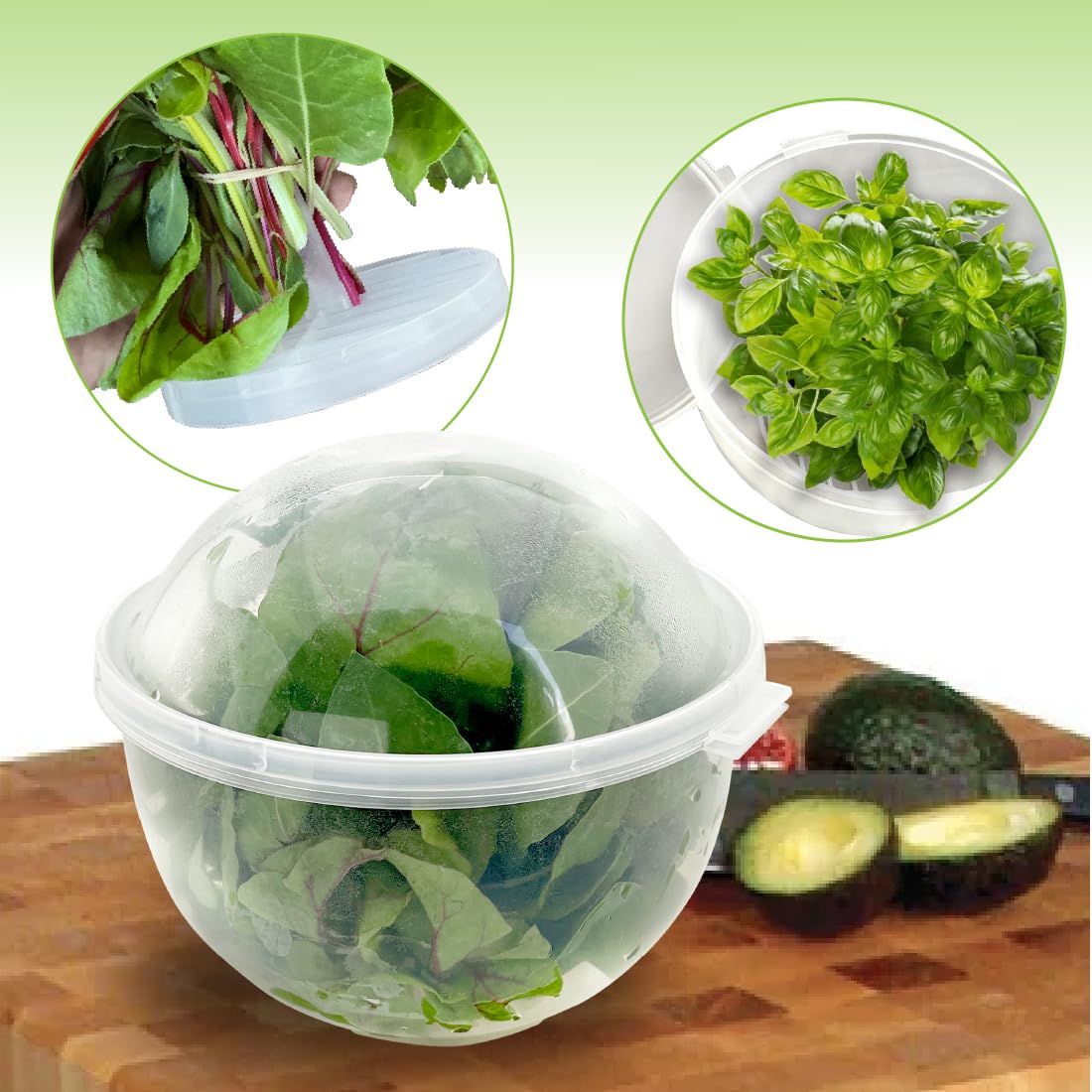 Trenton Gifts Lettuce and Vegetable Storage Keeper close-up promoting organized fridge storage
