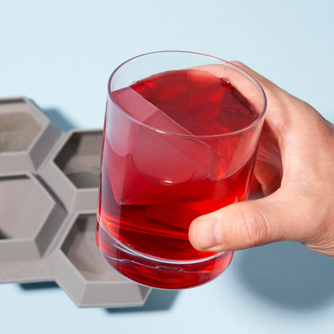 TrueZoo housewarming gift ice mold sparks conversation and delight.