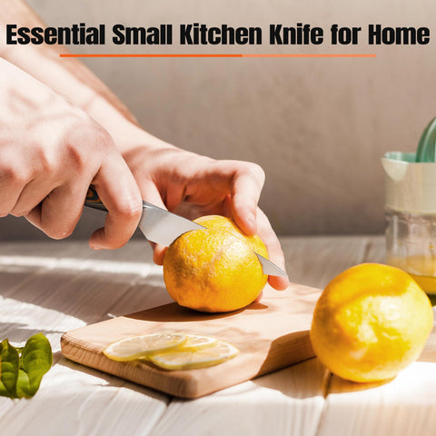 TUO Paring Knife ergonomic pakkawood handle for comfortable grip.