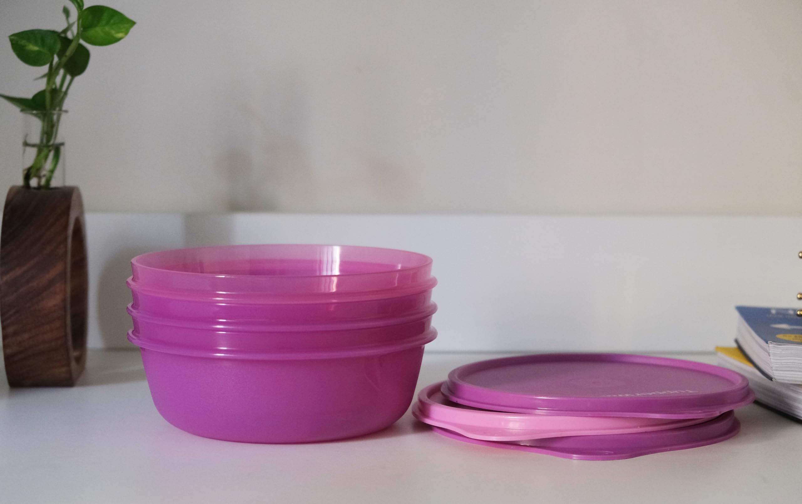 Tupperware Leftover Bowl Set spill-proof for transport
