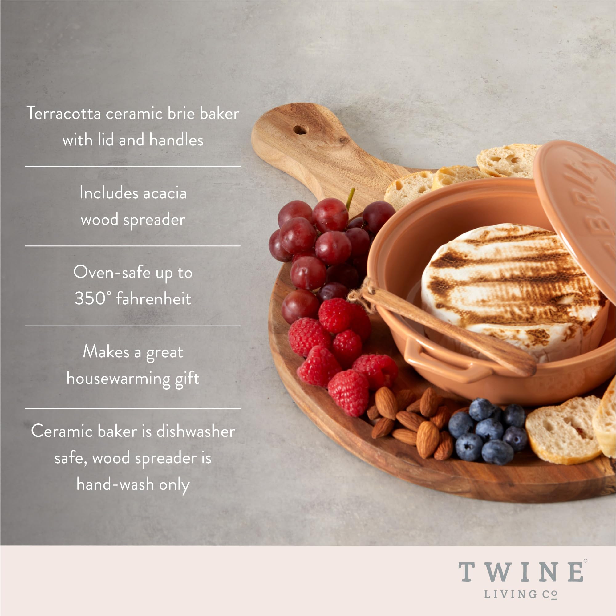 Twine terra cotta brie dish with wood spreader for elegant serving.