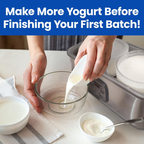 Ultimate Yogurt Containers with airtight seal preserves yogurt freshness.