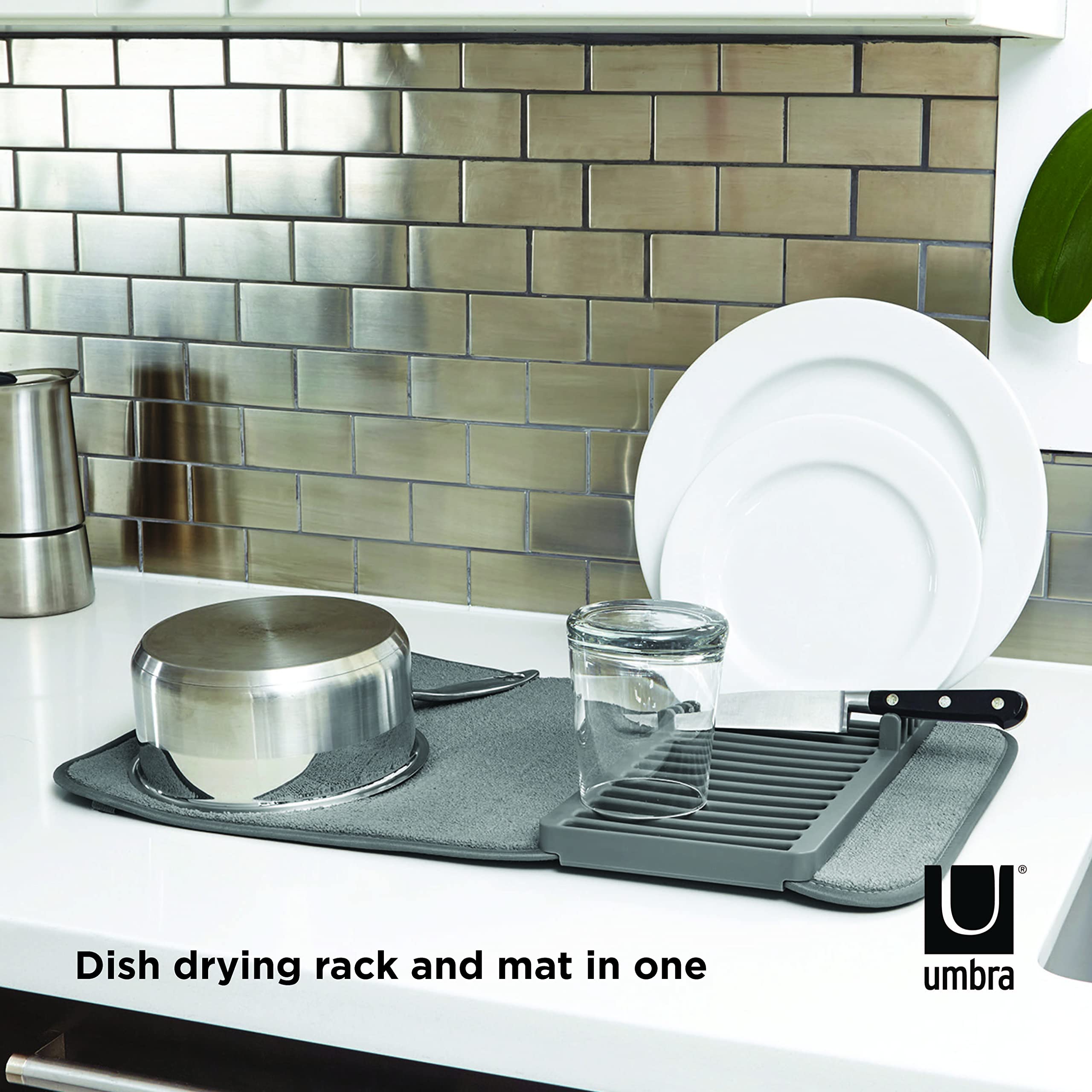 Umbra UDRY Mini with tray removed ready for dishwasher cleaning.
