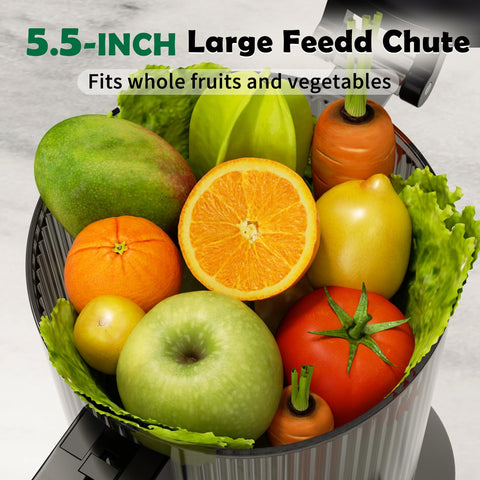 USHALO 300W motor delivers smooth extraction and efficient juicing