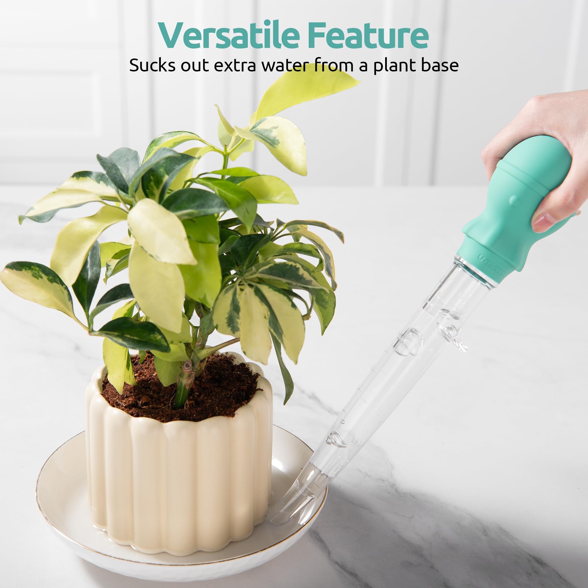 UTaste cleaning brush included for thorough hand-wash care.