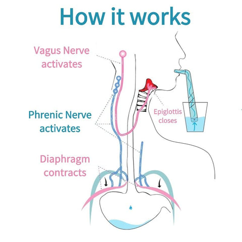 Utypee Hiccup Straw for family use, light and portable