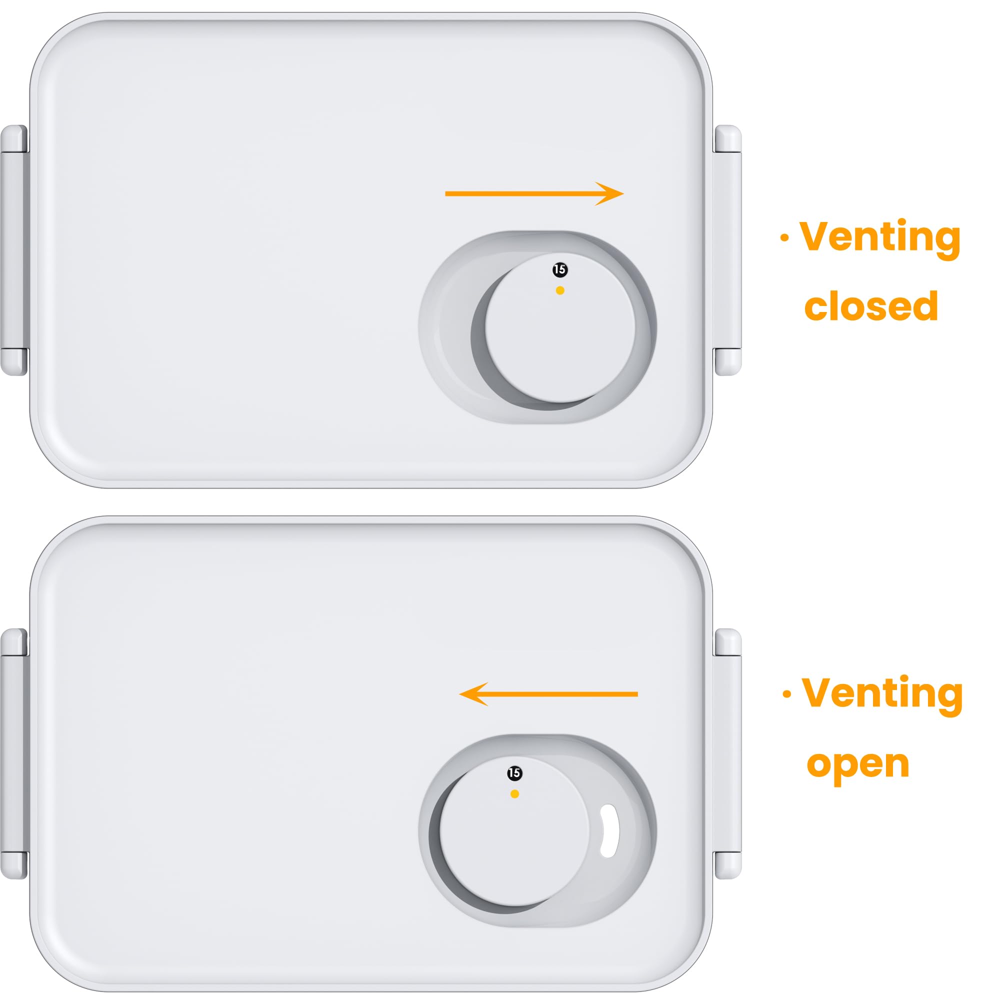 vacane Berry Keeper clear bin provides quick contents visibility