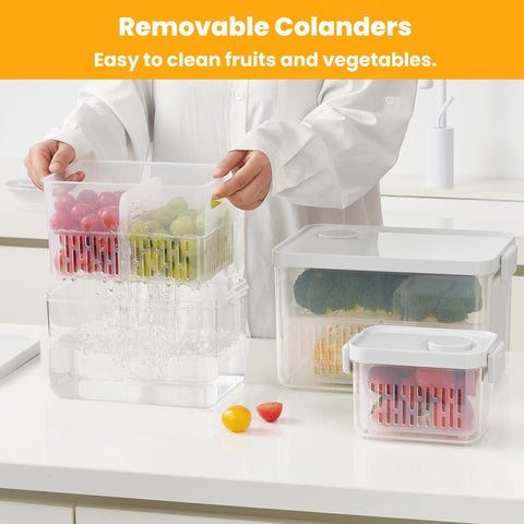 vacane Berry Keeper secure lid prevents spills during fridge handling