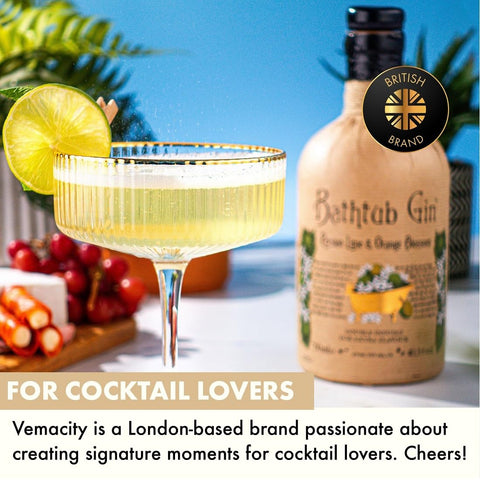 VEMACITY elegant home barware elevates weekend gatherings.