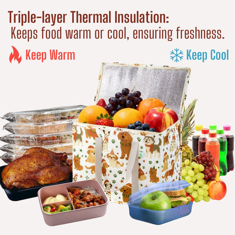 VENO collapsible cooler folds flat for compact storage.