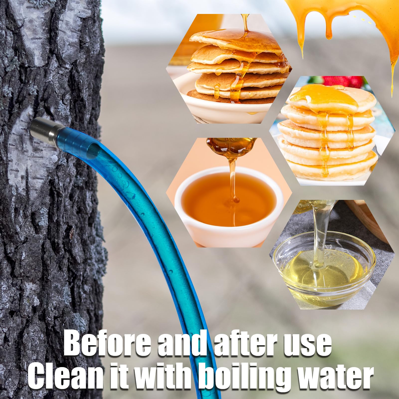 VICAMB maple syrup collection setup, complete DIY kit for straightforward tapping.