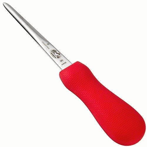 Victorinox oyster knife close-up showing Boston-style blade and slip-resistant red SuperGrip handle.