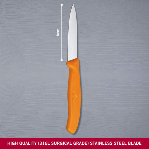 Close-up of Victorinox paring knife blade showing sharp edge