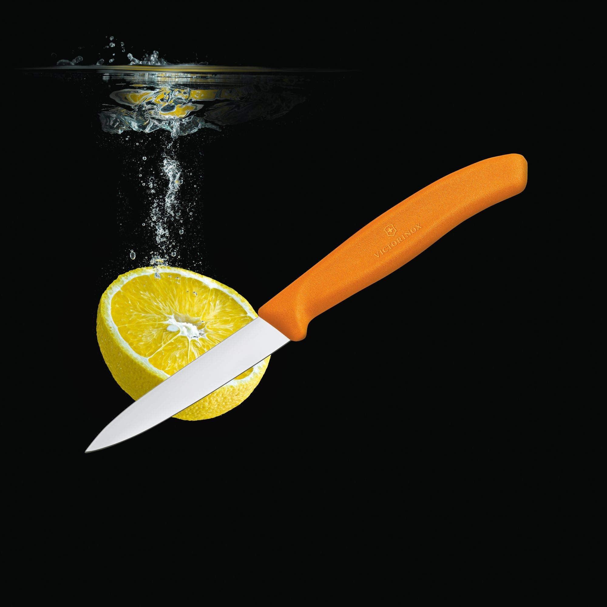 Detail of the knife edge on Victorinox paring knife for durability