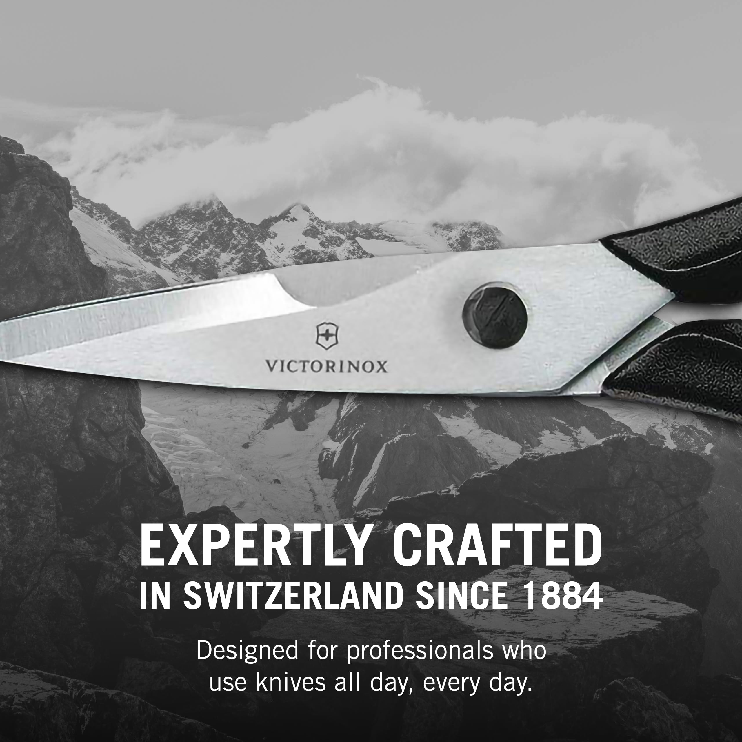 Victorinox Swiss Classic Come Apart Kitchen Shear with high carbon stainless steel blades staying sharp through repeated use.