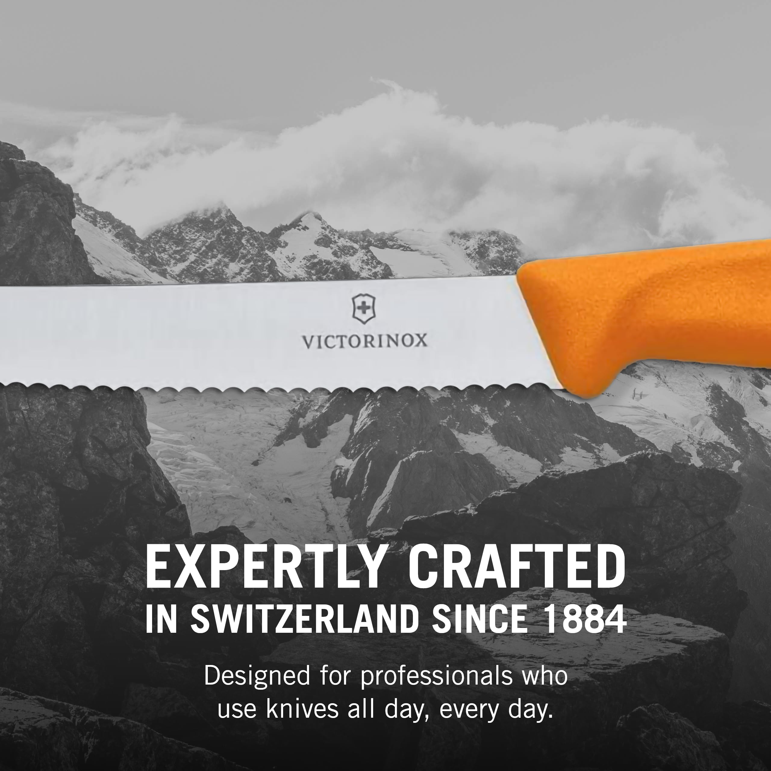 Victorinox Swiss Classic paring knife with compact design for easy daily prep.