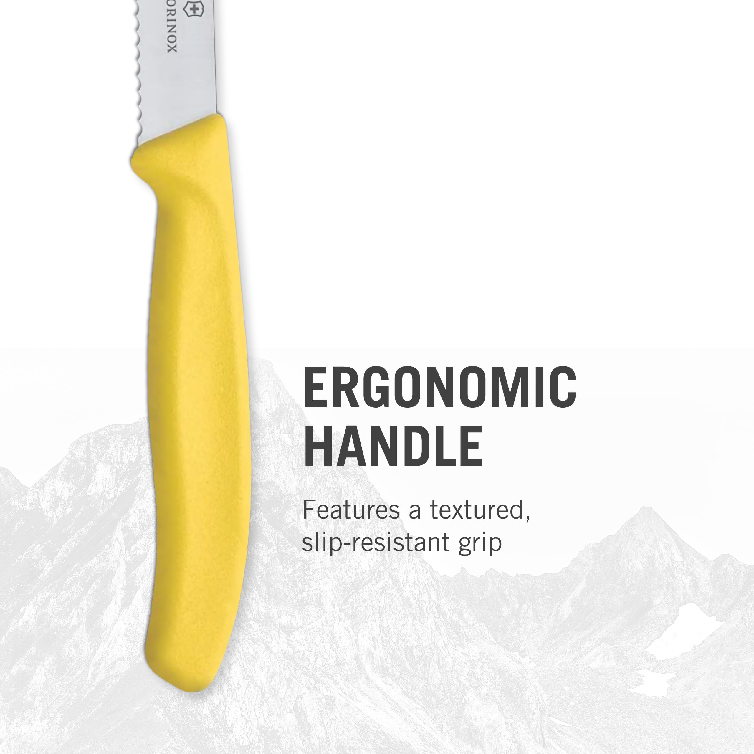 Victorinox Swiss Classic paring knife with short blade enables careful, accurate prep.