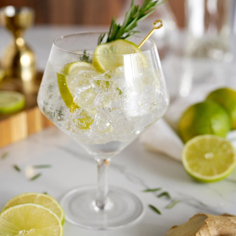 Viski Raye angled gin glass helps ice melt slowly for longer, cooler sips.