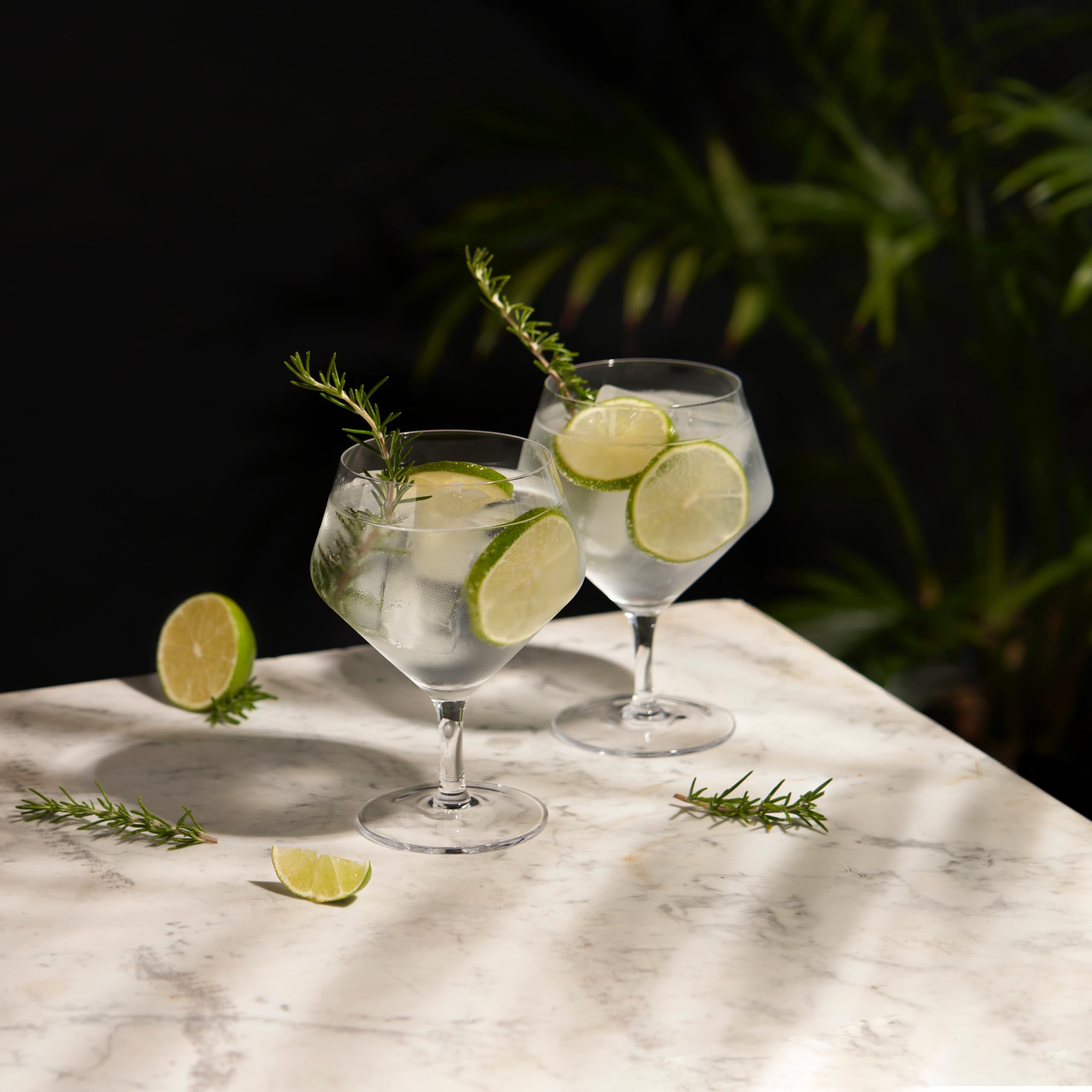 Viski Raye crystal clarity enhances garnishes and botanicals in your drink.
