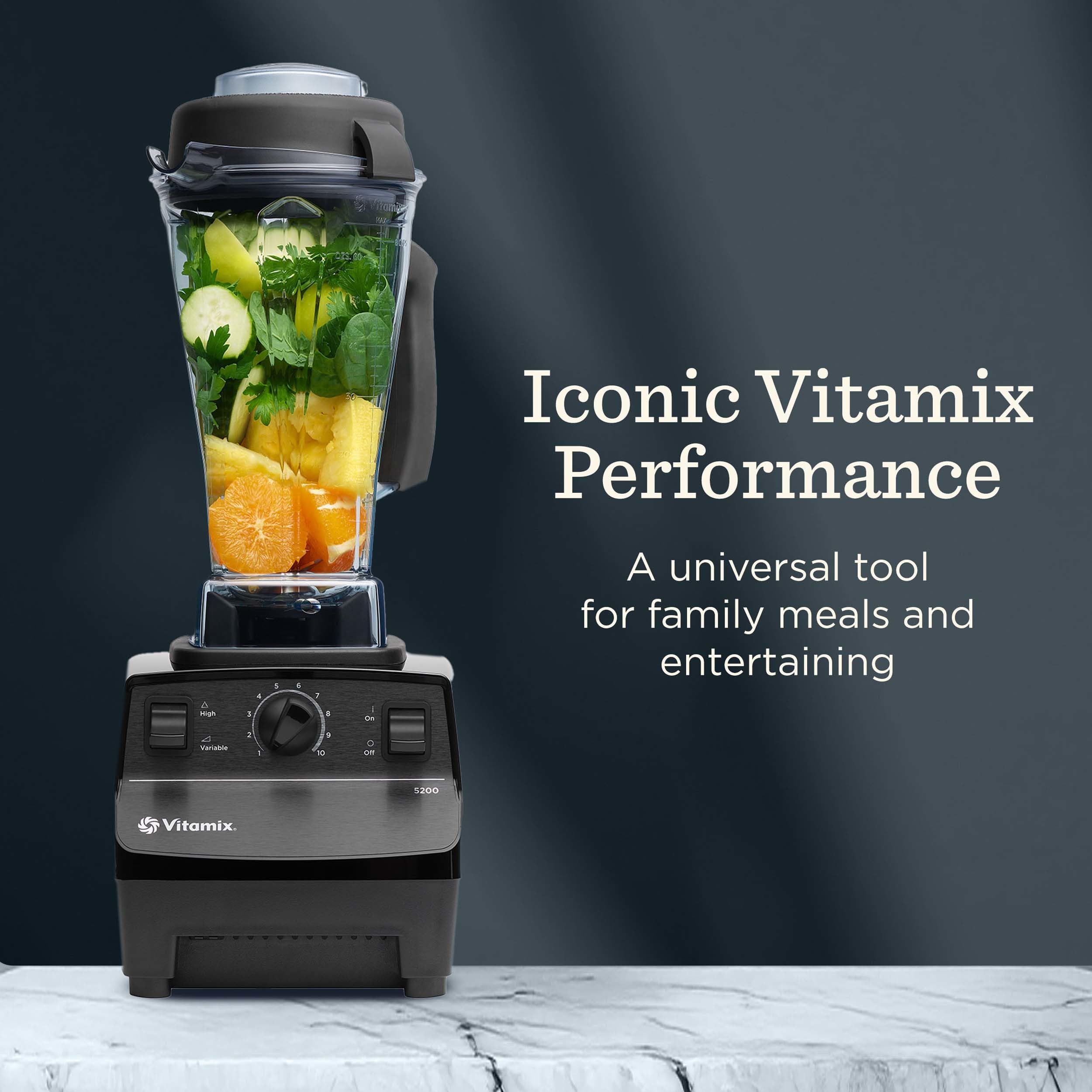 Vitamix 5200 tamper tool for blending thick ingredients