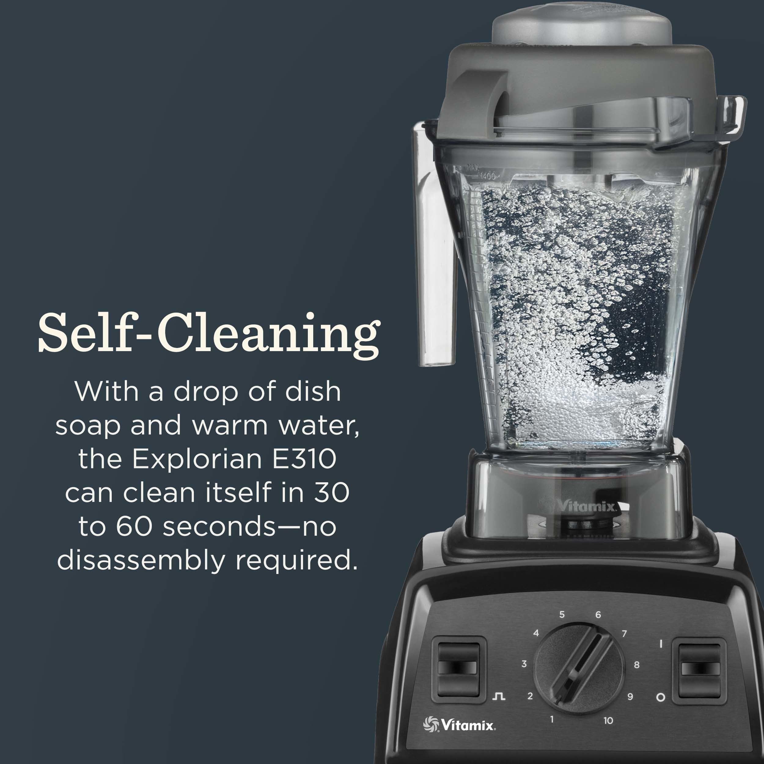 Vitamix Explorian E310 pulse function for ice crushing and quick texture changes.
