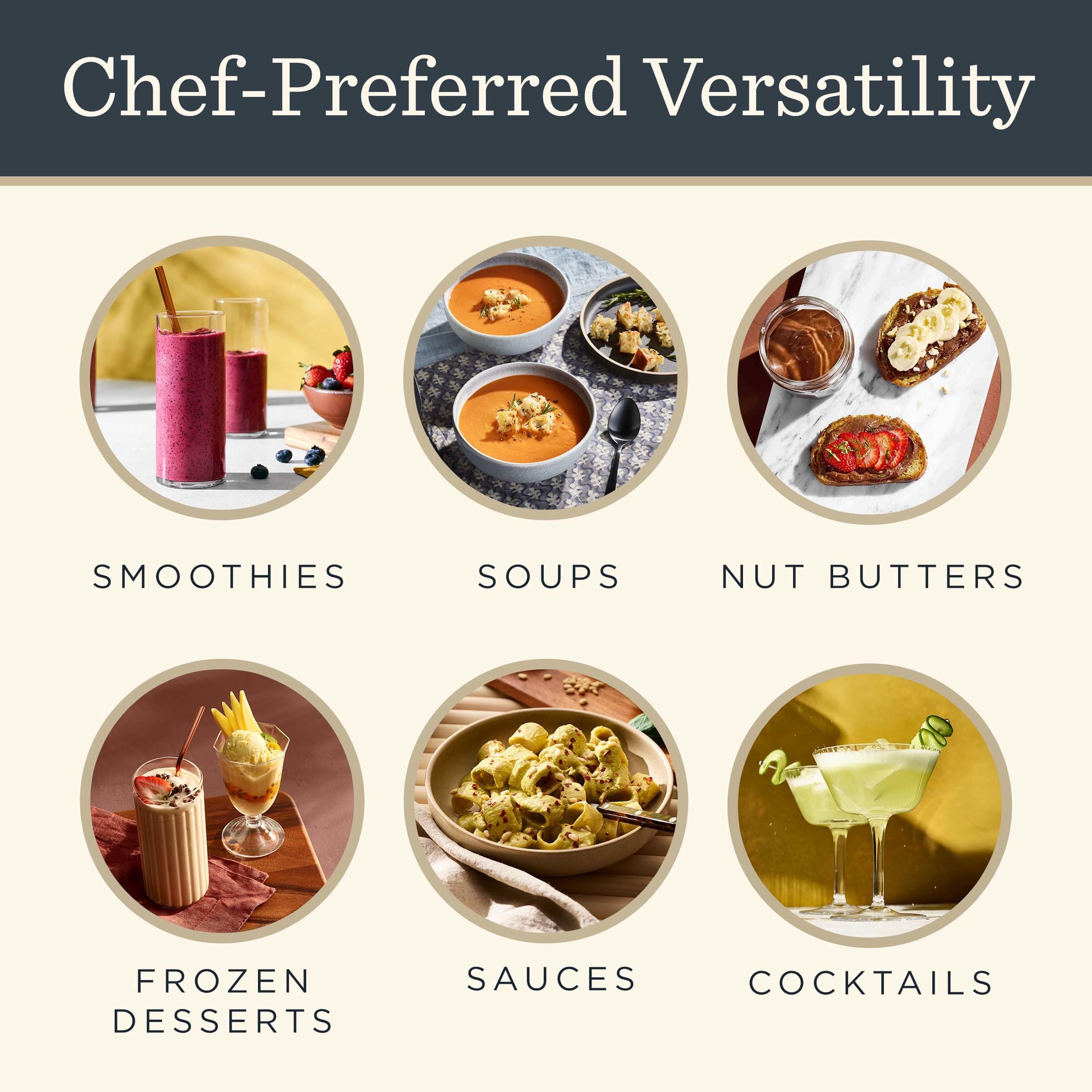 Vitamix Propel 510 blending programs for smoothies and soups