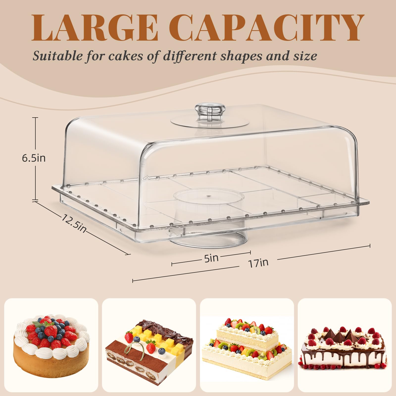 VIVIRBIEN ultra clear acrylic dome highlighting crystal view of treats