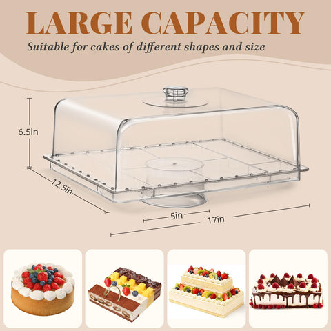 VIVIRBIEN ultra clear acrylic dome highlighting crystal view of treats