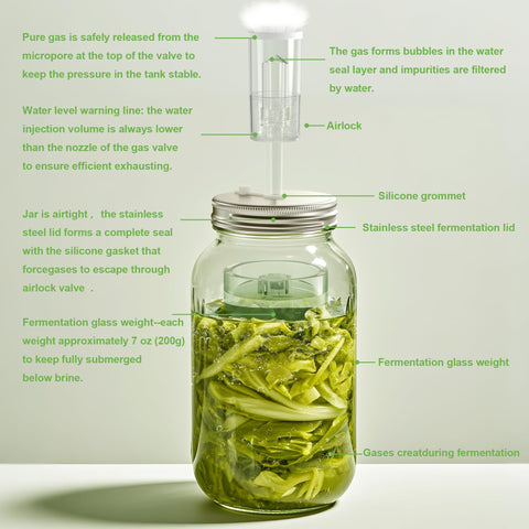 VSAPRDT fermentation kit setup showing weights and lids on a wide mouth jar