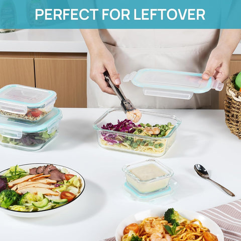 Vtopmart square 17.6oz container suitable for leftovers and fridge-to-desk meals