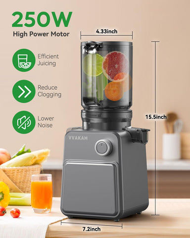 VVAKAM 250W motor powers steady, smooth juice with minimal effort