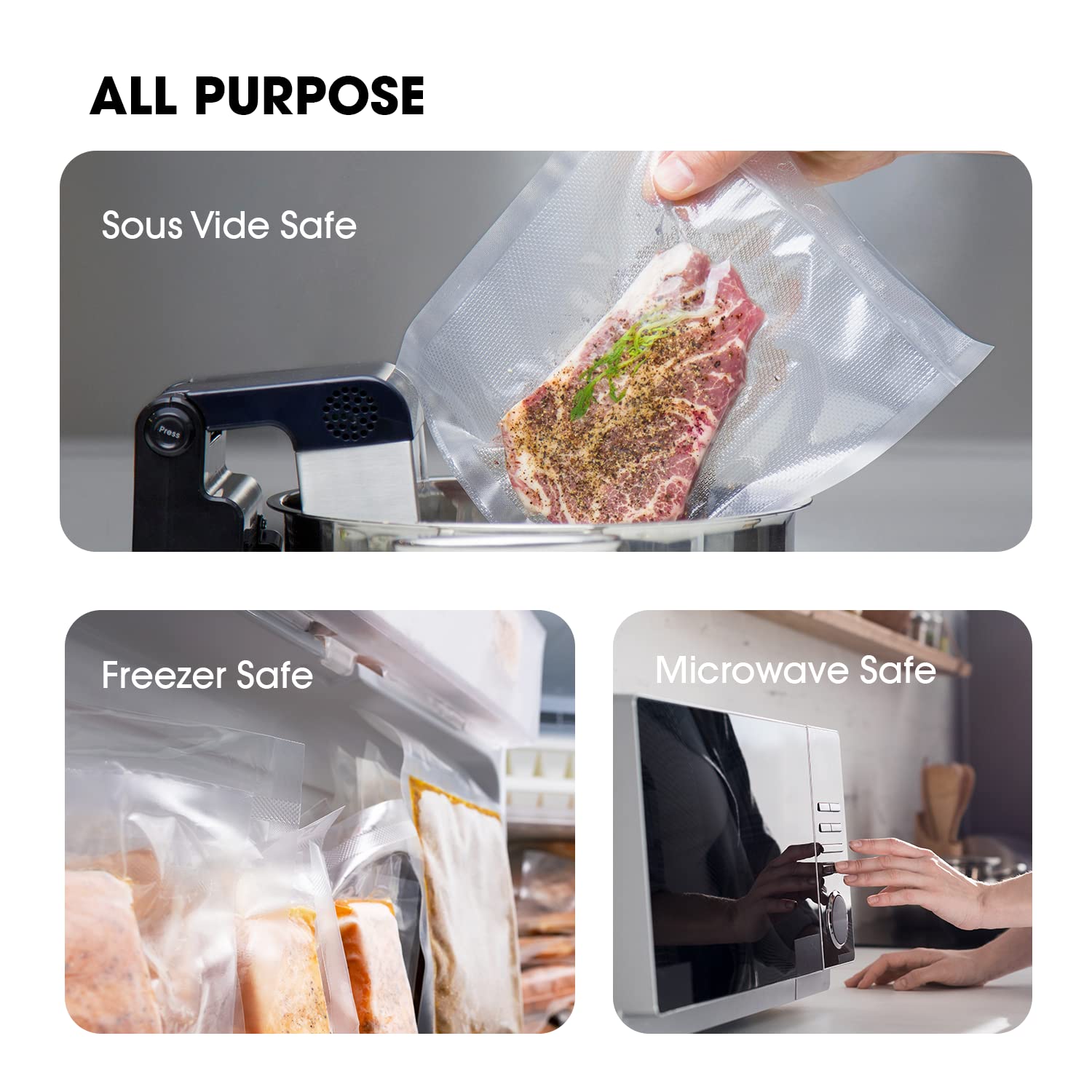 V Vesta Precision BPA-free, food-grade materials for freshness and safety