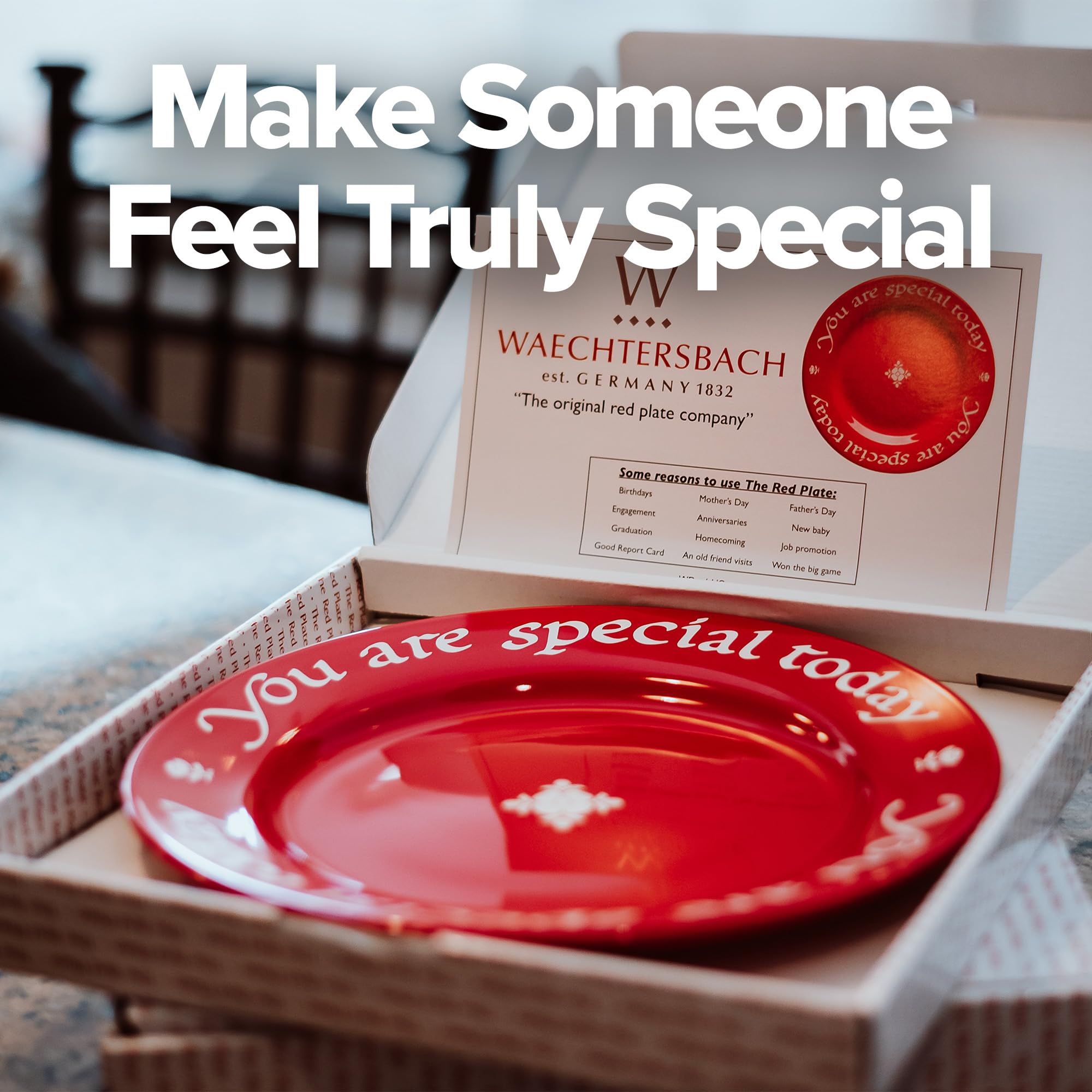 Waechtersbach microwave-safe plate suitable for everyday meals