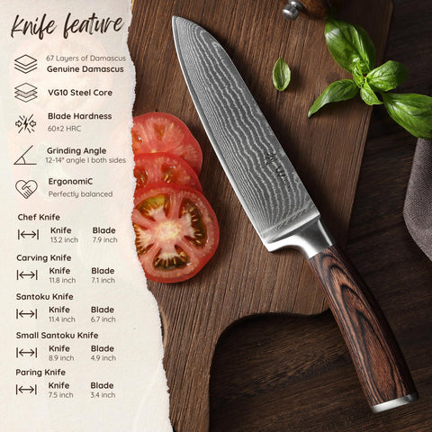 Wakoli EDIB carving knife shown for precise meat carving