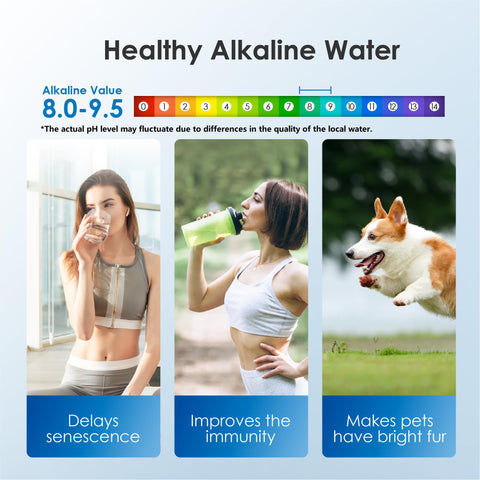 Waterdrop Slim Alkaline Dispenser top handle simplifies lifting and pouring