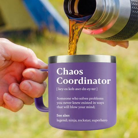 WECACYD Chaos Coordinator mug packaged as a charming gift idea