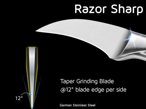 WELLSTAR ergonomic stainless steel handle offering secure grip and durability.
