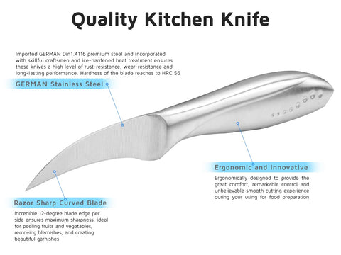 WELLSTAR silver paring knife detail highlighting balanced design and control.