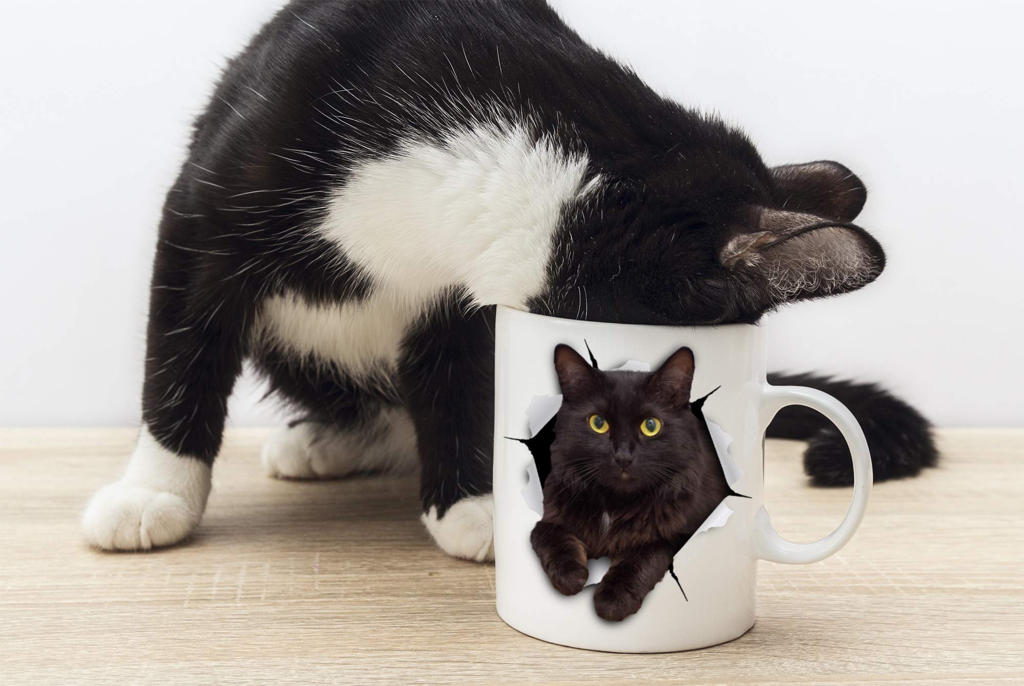 Winston & Bear black cat mug printed on both sides for visibility